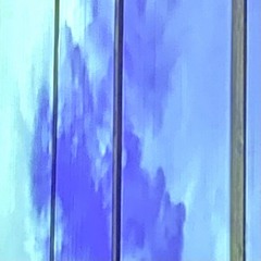 AN1MA W/ MOLINARO 021224