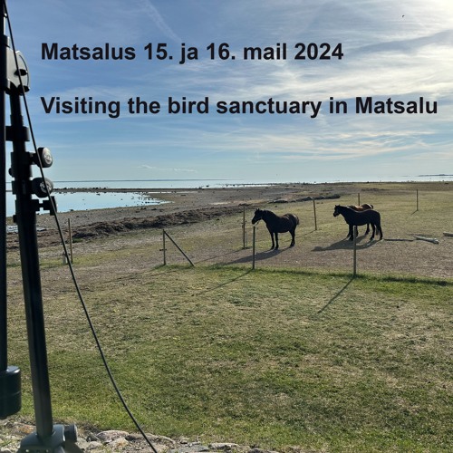 Matsalus 15. ja 16. mail 2024