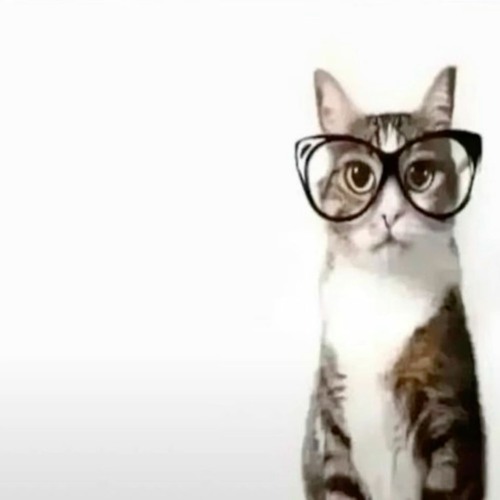 lying to my face wont make things better