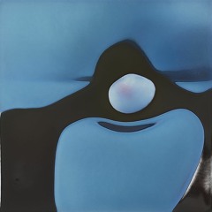 Going for a Night Walk