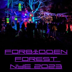 Echobot @ Forbidden Forest Festival South Australia NYE 2023