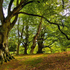 Luardj-La finis cu dzo(demo 2) (online-audio-converter.com)