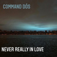 Never Really In Love