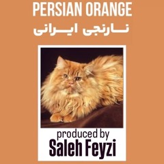 Persian Orange - Beat Album