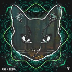 CAT + MOUSE