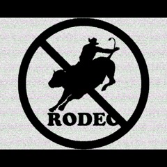 NO RODEO [PROD BY JOSH PETRUCCIO]