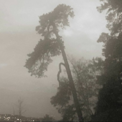 may clips 2022 ft. Brodinski, Shinju & Maxvon