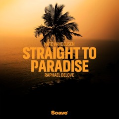 Nate VanDeusen & Raphael DeLove - Straight To Paradise