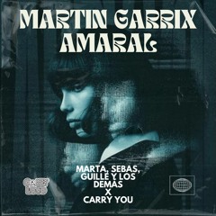 Amaral vs Martin Garrix & Third Party - MARTA, SEBAS, GUILLE Y LOS DEMAS CARRY YOU (CRAZYMASHUP)