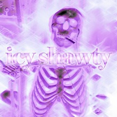 Icy Shawty ( ft. Lil No )