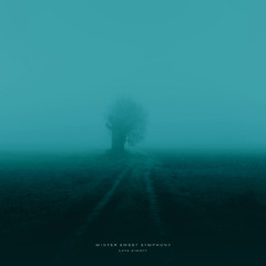 luna zimmer - winter sweet symphony