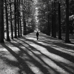 Hypnotized in a Glance