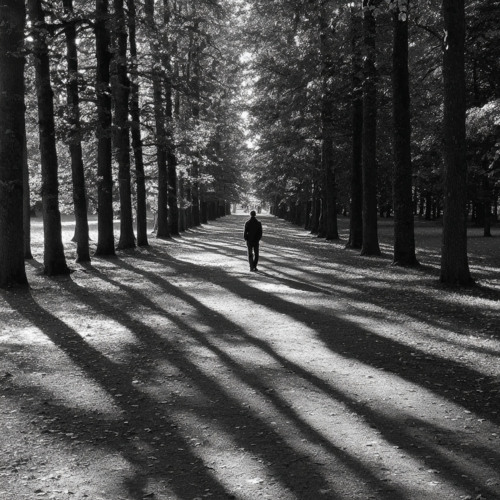 Hypnotized in a Glance