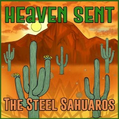 The Steel Sahuaros Live at KAMP Student Radio