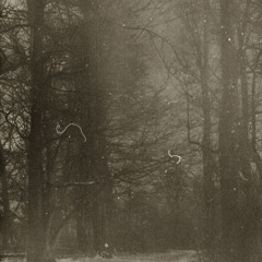 WL//WH - JUNE 2025 \\ Post-Punk/ Coldwave/ Darkwave/ Synth-Pop/ Minimal Synth