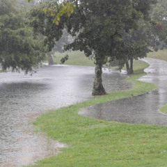 Edgelorde - The Stars Will Be Alone Demo V.2