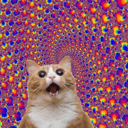 Steve Sniff - Mam holku v ústavu (prod. codax) [ ezmp3.cc ] for kocek