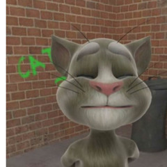 talking tom im looking at your stream why are you acquiring it