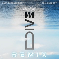 Lost Frequencies & Tom Gregory - Dive [David SB Remix]