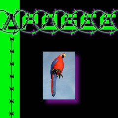 Another Apogee Show (20/08/21)