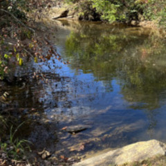 illusory stream