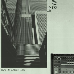 WS11 - 808 & Bass Hits