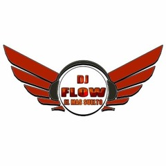 MIX REGGAETON DJ FLOW EMS