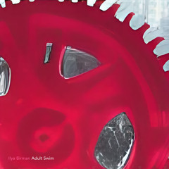 Adult Swim (Original Mix)