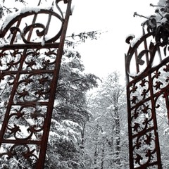 Destroy Lonely - Top Floor Boss Flip (teejaers + t3rps)