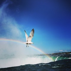 Sometimes I'm there, sometimes I'm not