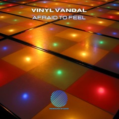 Vinyl Vandal - Afraid To Feel [sample]