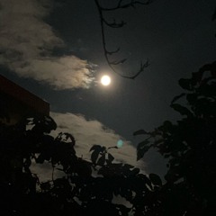 Hoping for Peace
