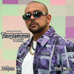 Sean Paul - Temperature Zaikem Remix