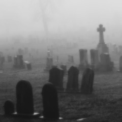 MORBID