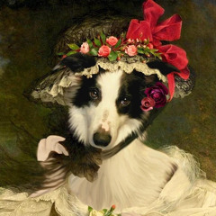 Lær deg å elske mørketiden <3