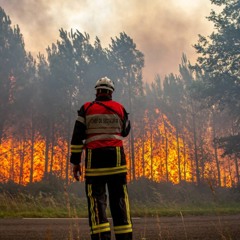 The Clean Up Hour, Mix 221 (July 7, 2023): 8.8 Million Hectares