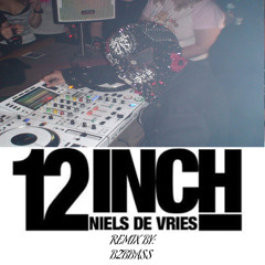 NIELS DE VRIES - 12 INCH (B2BBASS REMIX)