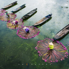 underground miền tây (gp dissin)