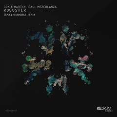 Robuster (Original Mix)