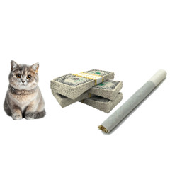 need money A$AP