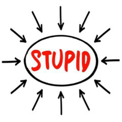 roi* - Get Stupid (DYSVSTR Edit)
