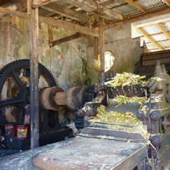 Review Special Price Fullday Tour Concord Waterfall Chocolate Factory Rum Distillery Grand Etang