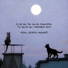 Арбенина и Сурганова - Кошка Московская