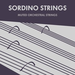 Sordino Strings Demo - Small Wonders - By Alex Niedt
