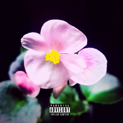 Pardon Me (Prod. prodbystone)