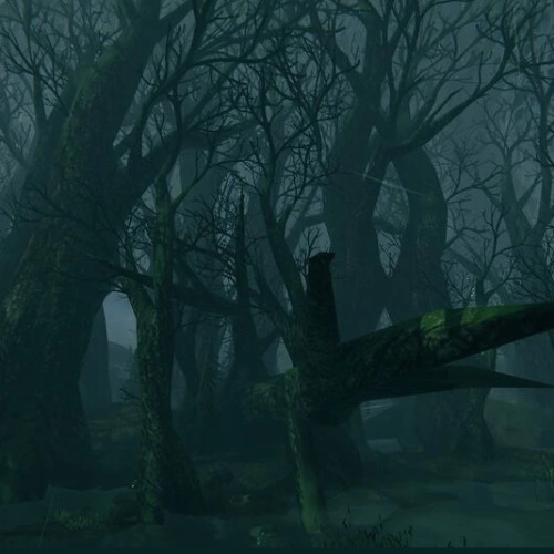 Gilb by the swamp
