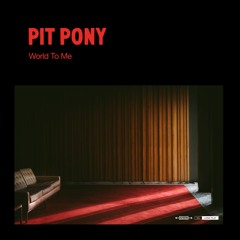 PIT PONY - SEE ME BE