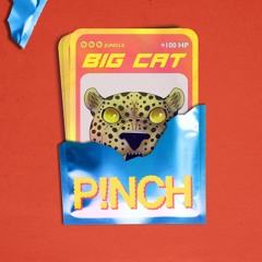 P!NCH, Brijs, GIRLI - Big Cat