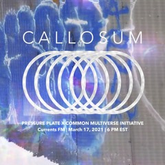 Pressure Plate + Common Multiverse Initiative (March 17, 2021)
