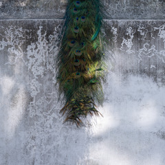 Corpo del cielo